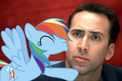 Size: 1941x1300 | Tagged: safe, rainbow dash, pegasus, pony, female, kissing, male, nicolas cage, shipping, straight