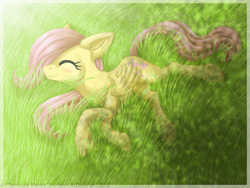 Size: 900x675 | Tagged: safe, artist:inuhoshi-to-darkpen, fluttershy, pegasus, pony, dappled sunlight, eyes closed, field, filly, foal, grass, happy, on side, sleeping, smiling, solo