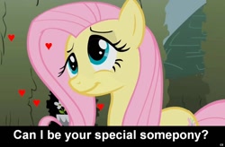 Size: 1024x672 | Tagged: safe, fluttershy, pegasus, pony, bronybait, caption, cs captions, cute, female, heart, implied, love, mare, solo, special somepony, text