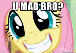 Size: 500x351 | Tagged: safe, edit, edited screencap, screencap, fluttershy, pegasus, pony, female, grin, image macro, mare, smiling, solo, u mad