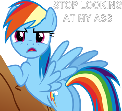 Size: 1598x1457 | Tagged: safe, artist:leapingriver, derpibooru exclusive, rainbow dash, pegasus, pony, annoyed, caption, plot, rock, simple background, solo, transparent background, vector