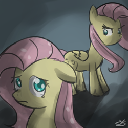 Size: 900x900 | Tagged: safe, artist:speccysy, fluttershy, pegasus, pony, abstract background, duality, female, flutterbitch, mare, solo