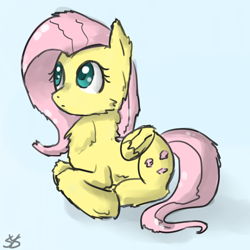 Size: 900x900 | Tagged: safe, artist:speccysy, fluttershy, pegasus, pony, cheek fluff, chest fluff, female, fluffy, mare, prone, simple background, solo