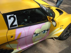 Size: 2048x1536 | Tagged: safe, fluttershy, pegasus, pony, car, female, lotus (car), lotus elise, mare