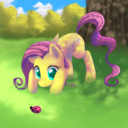 Size: 2222x2222 | Tagged: safe, artist:jacky-bunny, fluttershy, ladybug, pegasus, pony, dappled sunlight, female, grass, high res, mare, solo, tree