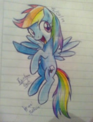 Size: 730x960 | Tagged: safe, artist:pink rose, rainbow dash, pegasus, pony, lined paper, solo, traditional art