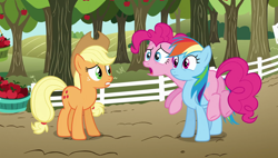 Size: 1920x1090 | Tagged: safe, derpibooru import, screencap, applejack, pinkie pie, rainbow dash, earth pony, pegasus, pony, the super speedy cider squeezy 6000, apple, basket, bushel basket, food, ponies riding ponies, tree