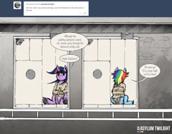 Size: 1280x996 | Tagged: safe, artist:dreamingnoctis, derpibooru import, rainbow dash, twilight sparkle, pegasus, pony, unicorn, ask, ask asylum twilight, asylum, bondage, dialogue, duo, horn cap, magic suppression, straitjacket, tumblr, unshorn fetlocks