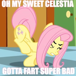 Size: 455x455 | Tagged: safe, edit, edited screencap, screencap, fluttershy, pegasus, pony, caption, eyes closed, female, gritted teeth, image macro, mare, need to fart, solo, text