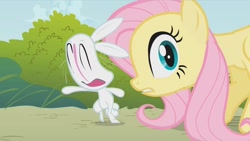 Size: 1277x720 | Tagged: safe, screencap, angel bunny, fluttershy, pegasus, pony, dragonshy, duo, faic, female, great moments in animation, mare, nightmare fuel, smear frame, wat