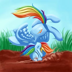 Size: 1500x1500 | Tagged: safe, artist:jayzonsketch, rainbow dash, pegasus, pony, crash landing, dirt, faceplant, female, landing, lithobraking, mare, rainbow crash, solo