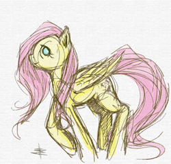 Size: 898x859 | Tagged: safe, artist:tt-n, fluttershy, pegasus, pony, colored sketch, female, looking at you, mare, profile, sketch, smiling, solo, wings