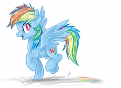 Size: 3006x2189 | Tagged: safe, artist:navigatoralligator, rainbow dash, pegasus, pony, blue coat, female, mare, multicolored mane, simple background, solo, white background, wings