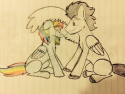 Size: 1024x768 | Tagged: safe, artist:pimpartist101, rainbow dash, soarin', pegasus, pony, blank flank, crying, female, lined paper, male, shipping, sitting, soarindash, straight, traditional art