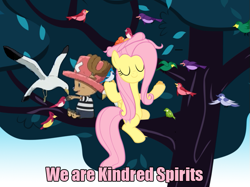 Size: 701x525 | Tagged: safe, artist:irie-mangastudios, fluttershy, pegasus, pony, image macro, one piece, tony tony chopper