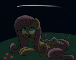 Size: 1250x1000 | Tagged: safe, artist:terra-aquis, angel bunny, fluttershy, pegasus, pony, night, shooting star