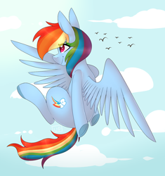 Size: 1280x1359 | Tagged: safe, artist:universe-fairy, derpibooru import, rainbow dash, bird, pegasus, pony, backwards cutie mark, cloud, female, flying, solo, wings