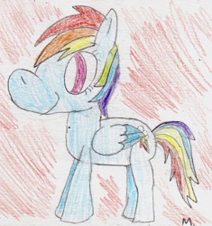 Size: 1073x1143 | Tagged: safe, artist:ptitemouette, derpibooru import, rainbow dash, pegasus, pony, solo, traditional art