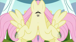 Size: 1271x714 | Tagged: safe, edit, edited screencap, screencap, fluttershy, pegasus, pony, female, flying, hub logo, hubble, mare, mirrored, not salmon, raised hoof, solo, spread wings, the hub, unitinu, wat, wings