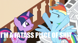 Size: 394x218 | Tagged: safe, screencap, rainbow dash, twilight sparkle, pegasus, pony, ponyville confidential, how abe lincoln really died, image macro, meme, vulgar, whitest kids you know, youtube poop