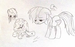 Size: 1024x644 | Tagged: safe, artist:craddlemaster, rainbow dash, tank, body swap, monochrome, traditional art