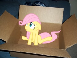 Size: 2048x1536 | Tagged: safe, fluttershy, pony, box, cute, daaaaaaaaaaaw, filly, foal, irl, photo, ponies in real life, vector