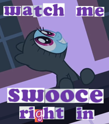 Size: 254x288 | Tagged: safe, derpibooru import, screencap, rainbow dash, pegasus, pony, read it and weep, caption, clothes, expand dong, exploitable meme, hoodie, image macro, meme, scooby doo, skooks, solo, swooce, the misadventures of skooks, youtube poop