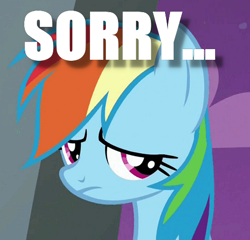 Size: 494x474 | Tagged: safe, derpibooru import, edit, edited screencap, screencap, rainbow dash, pegasus, pony, frown, image macro, meme, sad, sorry