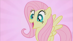 Size: 855x480 | Tagged: safe, screencap, fluttershy, pegasus, pony, may the best pet win, cute, female, smiling, solo