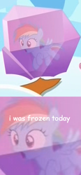 Size: 228x493 | Tagged: safe, derpibooru import, rainbow dash, pegasus, pony, the cutie re-mark, comic sans, female, filly, filly rainbow dash, i was frozen today, meme, nostalgia critic, suburban commando, younger