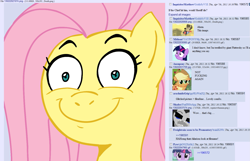 Size: 1465x942 | Tagged: safe, fluttershy, pegasus, pony, death, female, mare, meta, ponychan