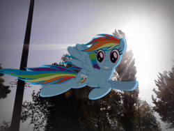 Size: 2560x1920 | Tagged: safe, artist:hunter2014hun, rainbow dash, pegasus, pony, flying, grin, irl, lens flare, photo, ponies in real life, sky, smiling, solo, sun, telephone pole, tree, vector