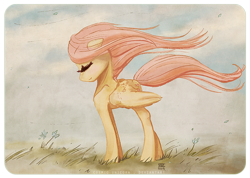 Size: 800x568 | Tagged: safe, artist:cosmicunicorn, fluttershy, pegasus, pony, beautiful, eyes closed, solo, windswept mane