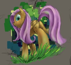 Size: 1728x1591 | Tagged: safe, artist:ruffu, fluttershy, pegasus, pony, female, from below, mare, solo