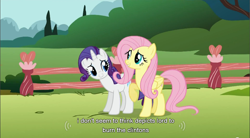 Size: 856x472 | Tagged: safe, screencap, fluttershy, rarity, pegasus, pony, unicorn, stare master, god