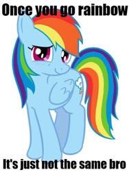 Size: 450x600 | Tagged: safe, rainbow dash, pegasus, pony, blue coat, female, image macro, mare, meme, multicolored mane, slant rhyme, solo