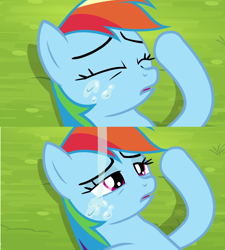 Size: 1920x2130 | Tagged: safe, screencap, rainbow dash, pegasus, pony, trade ya, drool, out of context, solo