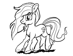 Size: 1658x1269 | Tagged: safe, rainbow dash, pegasus, pony, female, mare, simple background, sketch, solo, white background