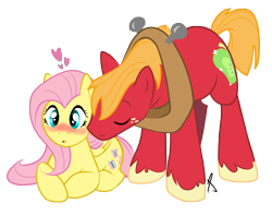 Size: 8381x6597 | Tagged: safe, artist:littletiger488, big macintosh, fluttershy, earth pony, pegasus, pony, absurd resolution, blushing, fluttermac, male, nuzzling, shipping, stallion, straight