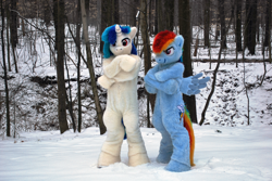 Size: 1936x1296 | Tagged: safe, artist:spainfischer, dj pon-3, rainbow dash, vinyl scratch, human, cosplay, fursuit, irl, irl human, photo, snow