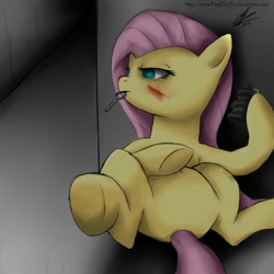 Size: 2000x2000 | Tagged: safe, artist:vanefox, fluttershy, pegasus, pony, featureless crotch, grenade, high res, injured, key, scar