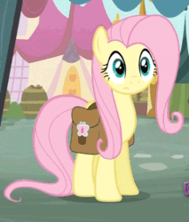 Size: 500x588 | Tagged: safe, screencap, fluttershy, pegasus, pony, putting your hoof down, animated, cropped, looking around, loop, saddle bag, solo