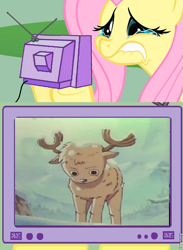 Size: 563x771 | Tagged: safe, fluttershy, pegasus, pony, exploitable meme, fluttercry, meme, one piece, tony tony chopper, tv meme