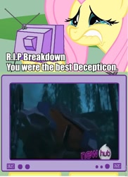 Size: 564x775 | Tagged: safe, fluttershy, pegasus, pony, breakdown, exploitable meme, fluttercry, meme, transformers, tv meme