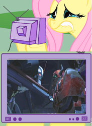 Size: 439x600 | Tagged: safe, fluttershy, pegasus, pony, cliffjumper, death, exploitable meme, fluttercry, meme, starscream, transformers, tv meme