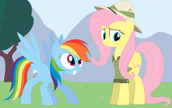 Size: 1031x647 | Tagged: safe, artist:hyolark, fluttershy, rainbow dash, pegasus, pony, clothes, costume, excited, hat, shy do