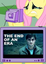 Size: 498x685 | Tagged: safe, fluttershy, pegasus, pony, crying, exploitable meme, fluttercry, harry potter, meme, sad, tv meme