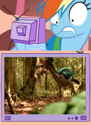 Size: 563x771 | Tagged: safe, rainbow dash, pegasus, pony, exploitable meme, gastornis, meme, obligatory pony, propalaeotherium, tv meme, walking with beasts