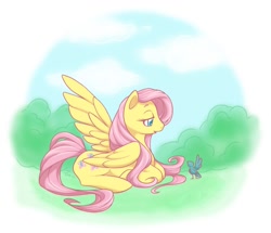 Size: 1162x1001 | Tagged: safe, artist:tabbykat, fluttershy, bird, pegasus, pony, bush, female, lidded eyes, looking at something, looking down, mare, one wing out, outdoors, profile, prone, solo, wings