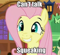 Size: 364x330 | Tagged: safe, edit, edited screencap, screencap, fluttershy, pegasus, pony, stare master, caption, image macro, roflbot, solo, squee